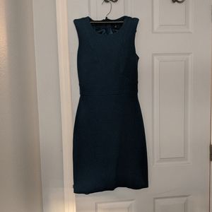 Fitted banana republic dress